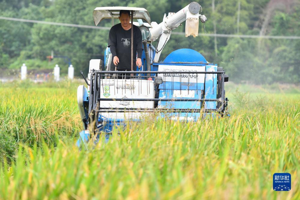 存10送38彩金白菜